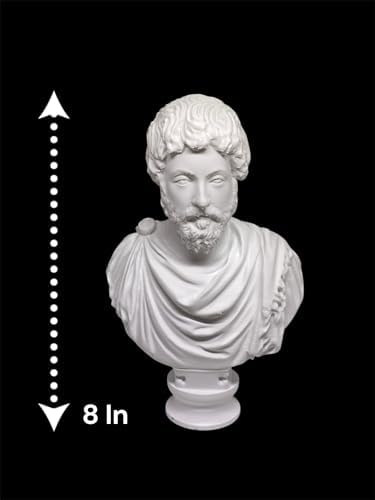 Marcus Aurelius 3D Printed Bust 8 Inches