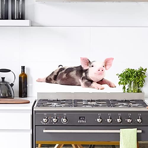 Funny Piggy Wall Decal Peel and Stick