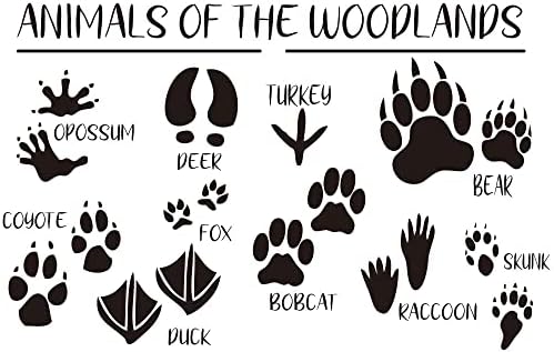 Cute Forest Animal Wall Stickers with Footprints - 15x24 Inches