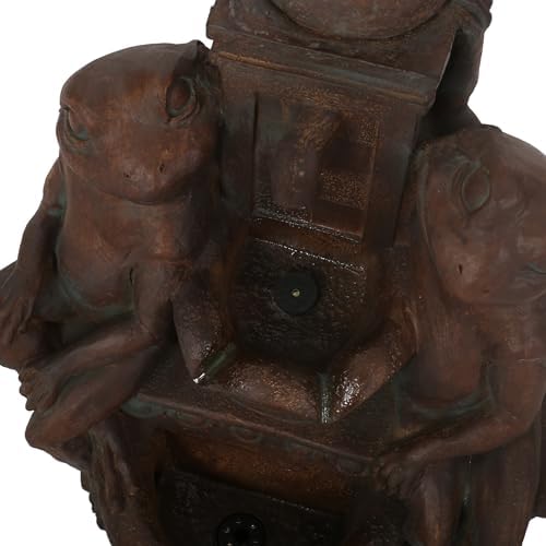 Neolun Floor Fountain with Rustic Frog Design LED Lights 3725 Inch High