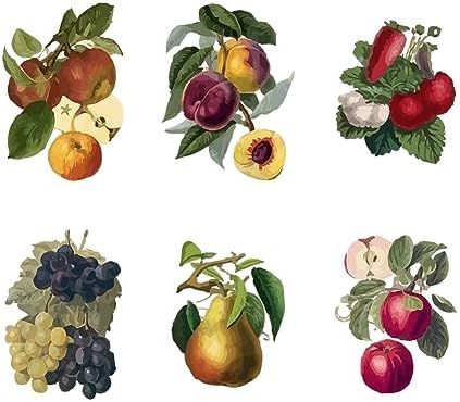 SUPERDANT Vintage Grapes Peaches Wall Decals