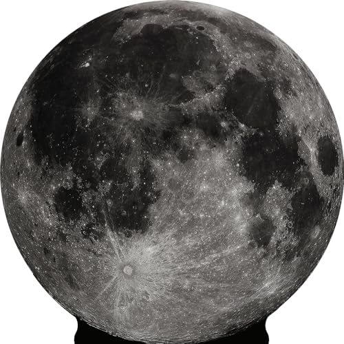 Wet Paint H69029 Moon Standup Cutout