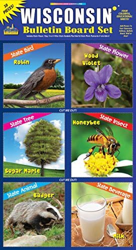 Gallopade Wisconsin Bulletin Board Set 17x11 Inches