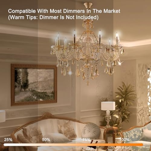 E12 Dimmable Candle LED Bulb 2W Warm White 2700K Clear Glass 48Pack