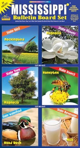 Gallopade Mississippi Bulletin Board Set
