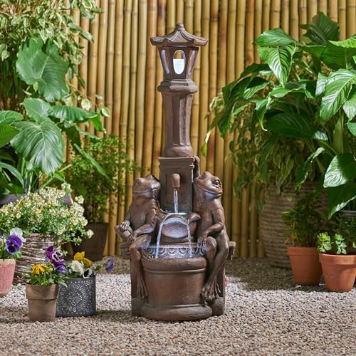 Neolun Floor Fountain with Rustic Frog Design LED Lights 3725 Inch High